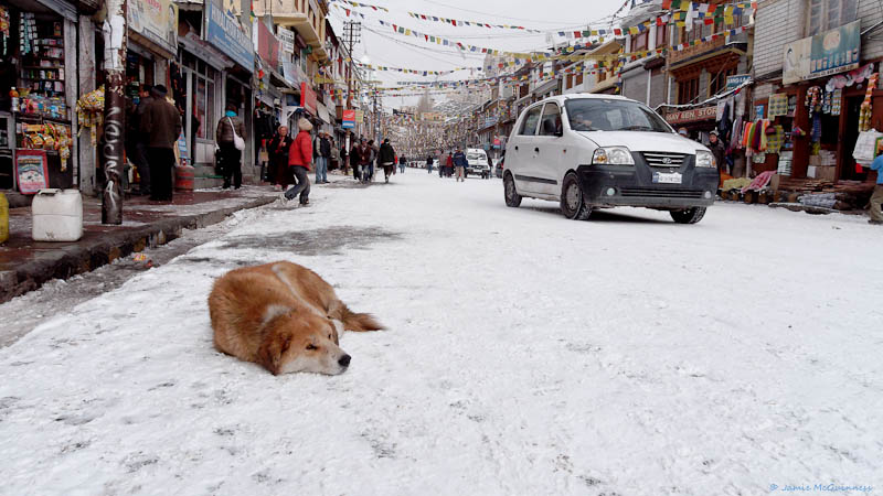Leh in winter