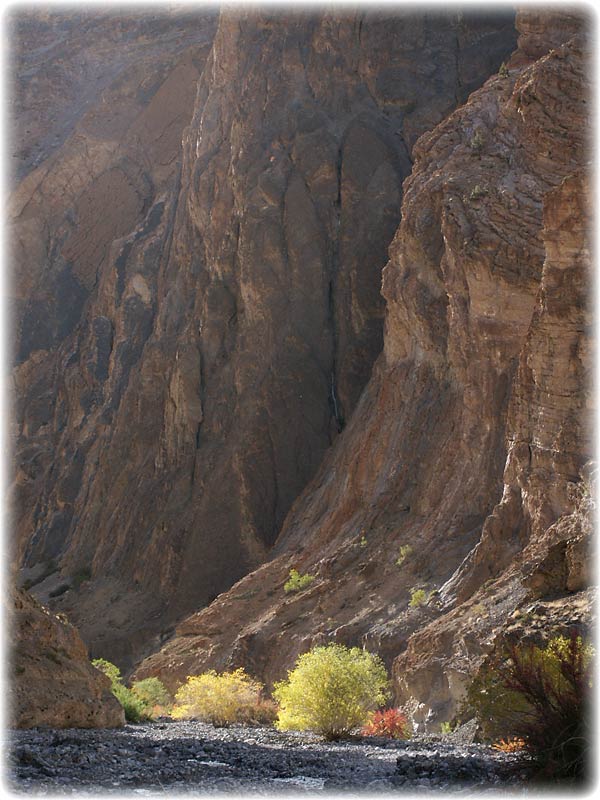 click for more of the Jumlam