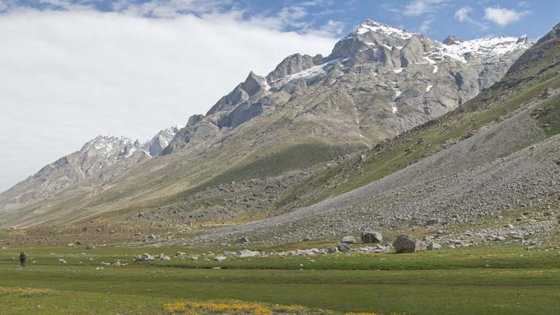 trekking through the Miyar valley