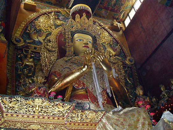 by Georgia Briscoe - thanks!