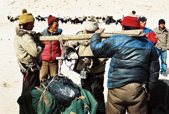 Photo by Thomas Gygax - thanks!