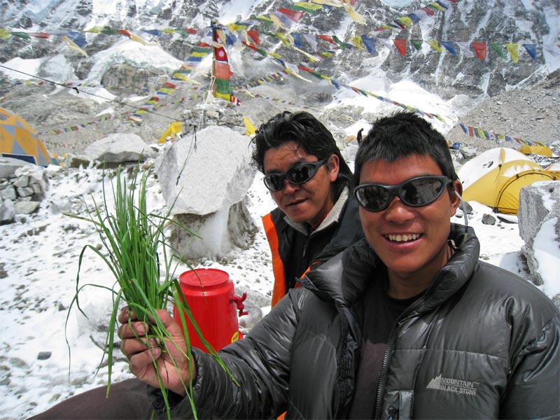 Nima and the fresh veg