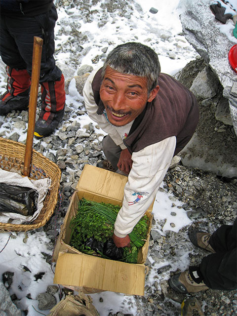Everest BC veg sales